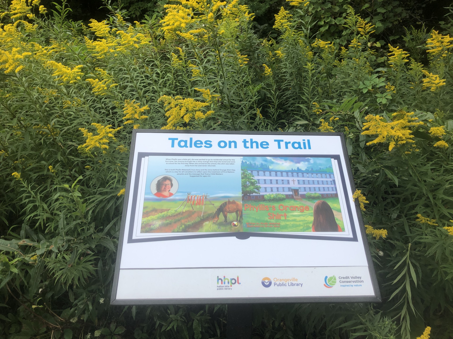 Tales on the trails book page holder with golden rod in background